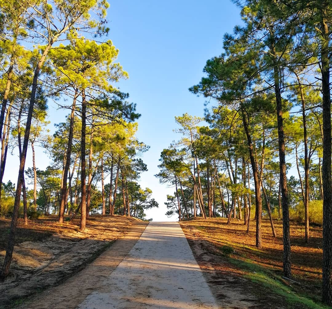 Naturplätze an der Algarve: Naturparks, Reservate und schöne Orte