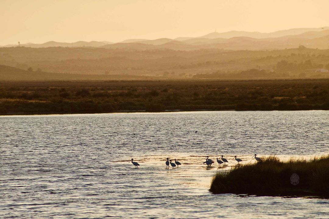 Naturplätze an der Algarve: Naturparks, Reservate und schöne Orte