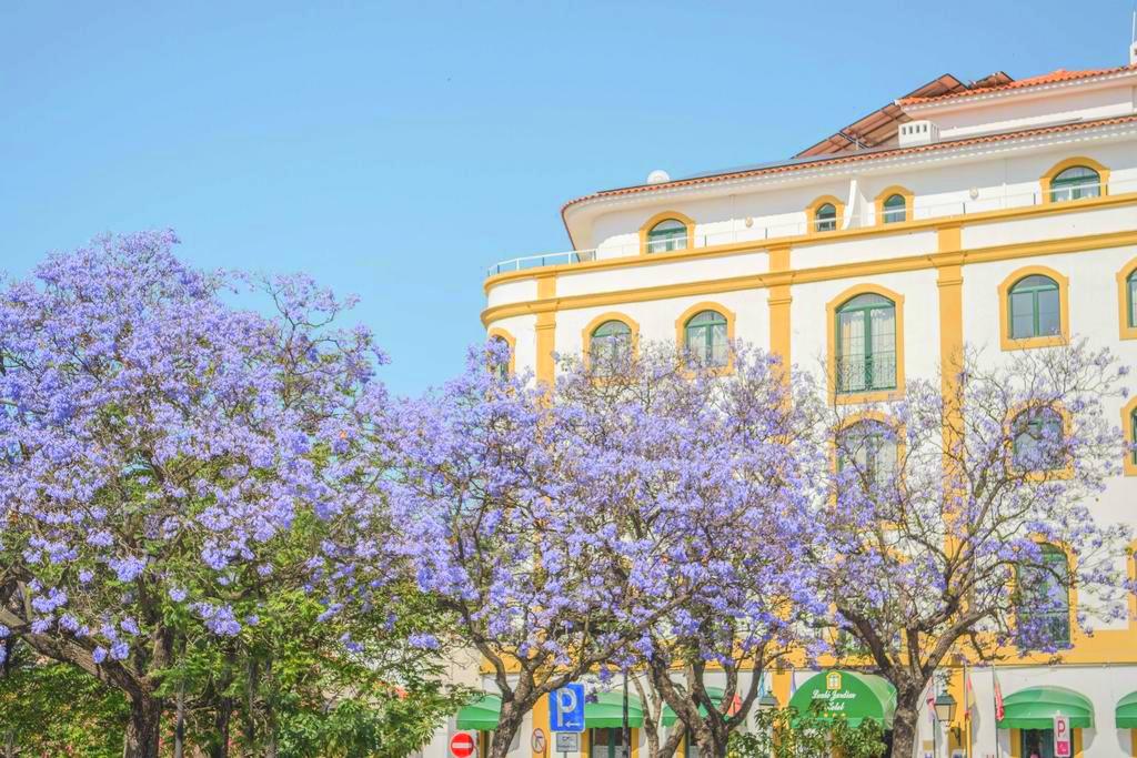 4 jours en Algarve en voiture. Voyage en Algarve pour un voyageur conscient.