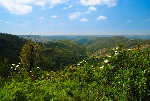 Cape Sao Vincent