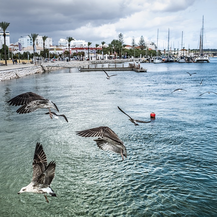 Guía de Portimao