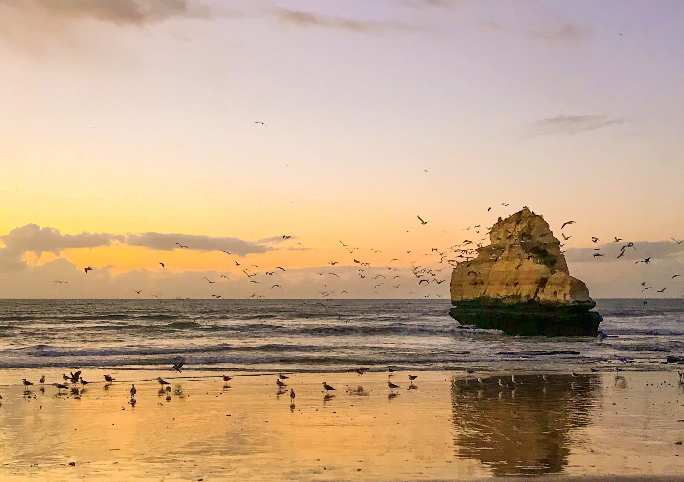 Guía de Portimao