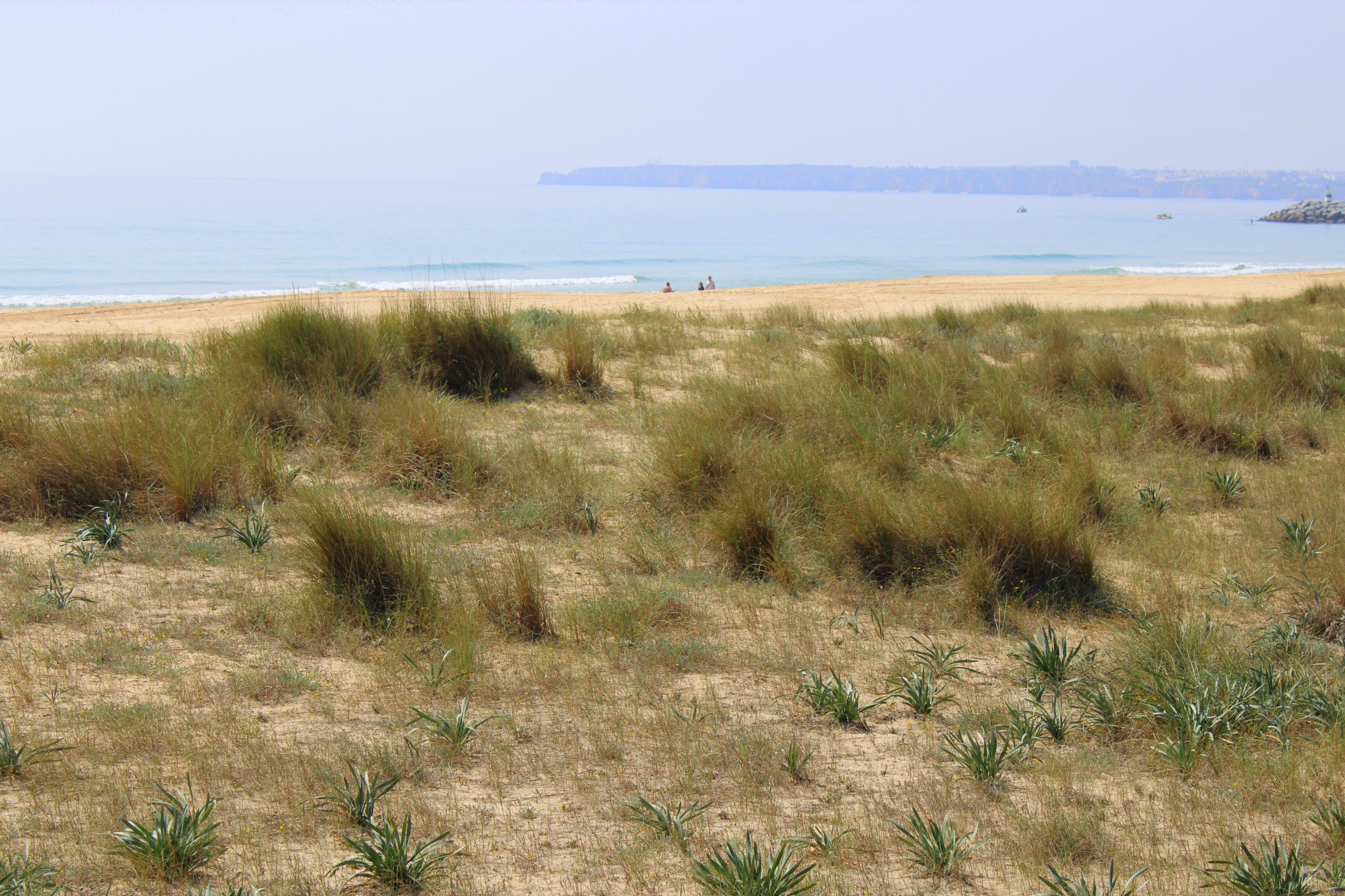 Les sentiers d'Alvor - Se promener