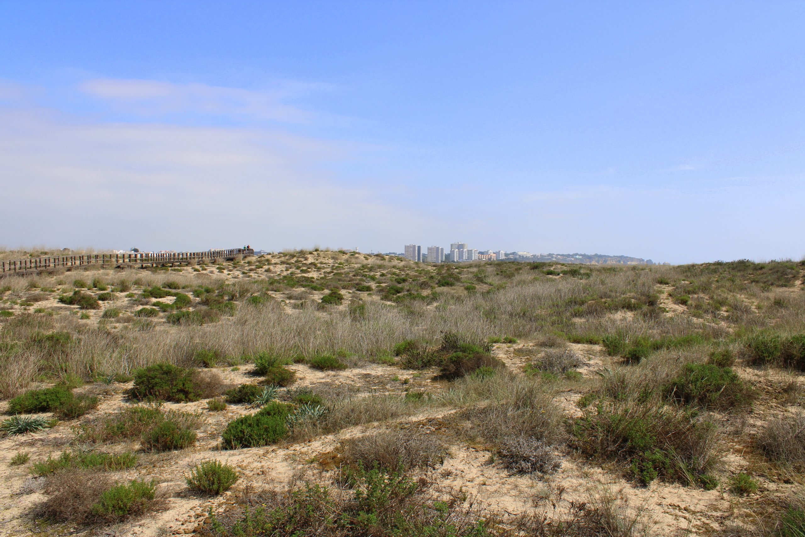 Les sentiers d'Alvor - Se promener