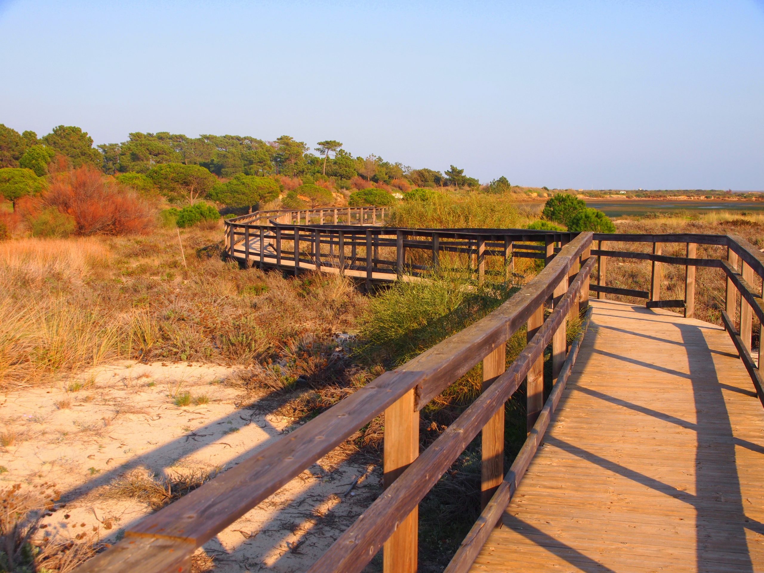 Ria Formosa. What is this, Park or Lagoon?