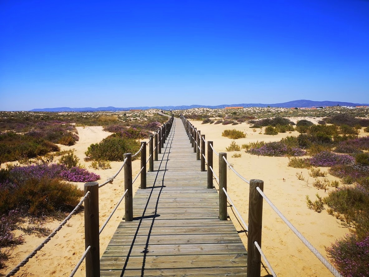 Îles du sud du Portugal accessibles depuis Olhao et Faro