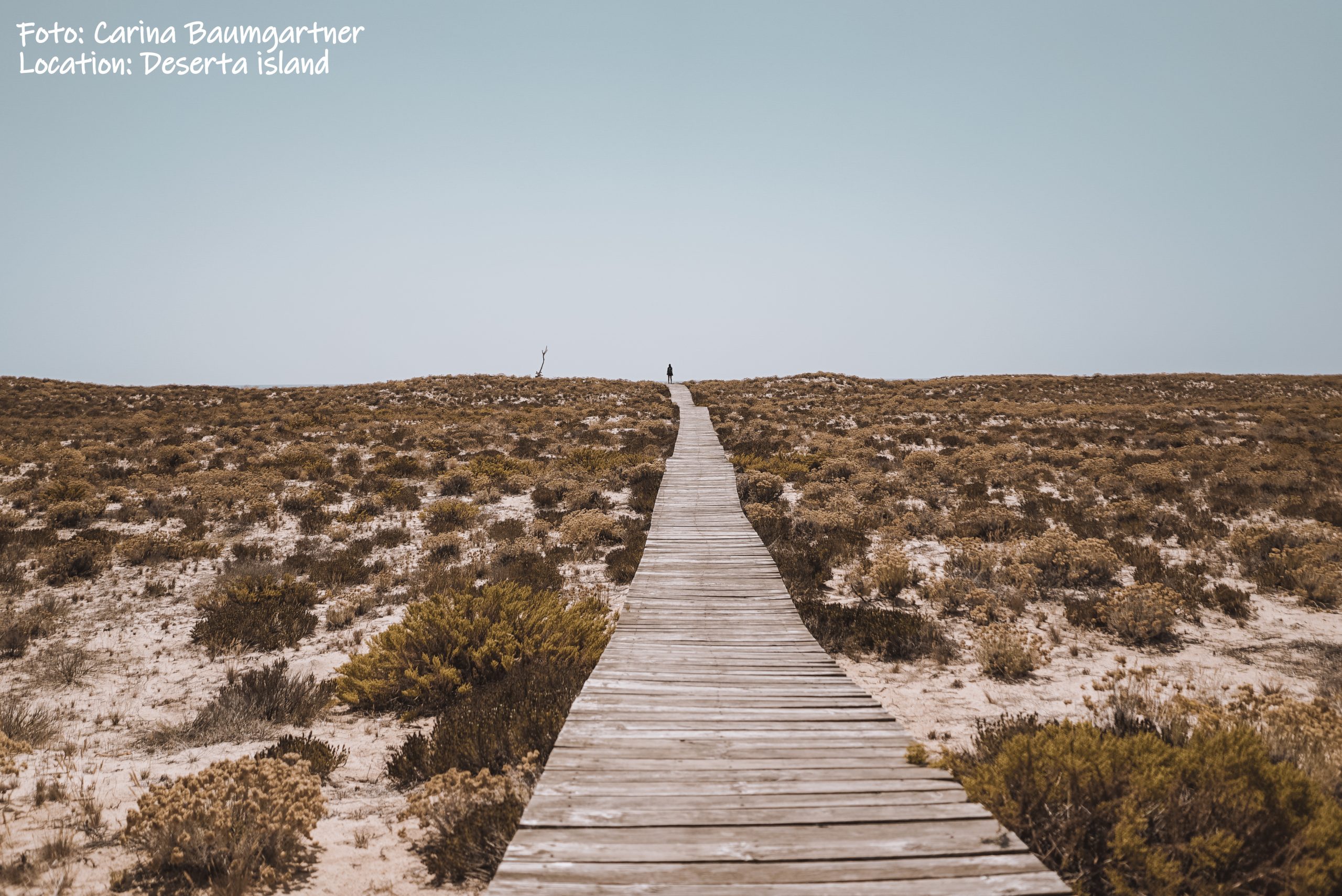 Îles du sud du Portugal accessibles depuis Olhao et Faro