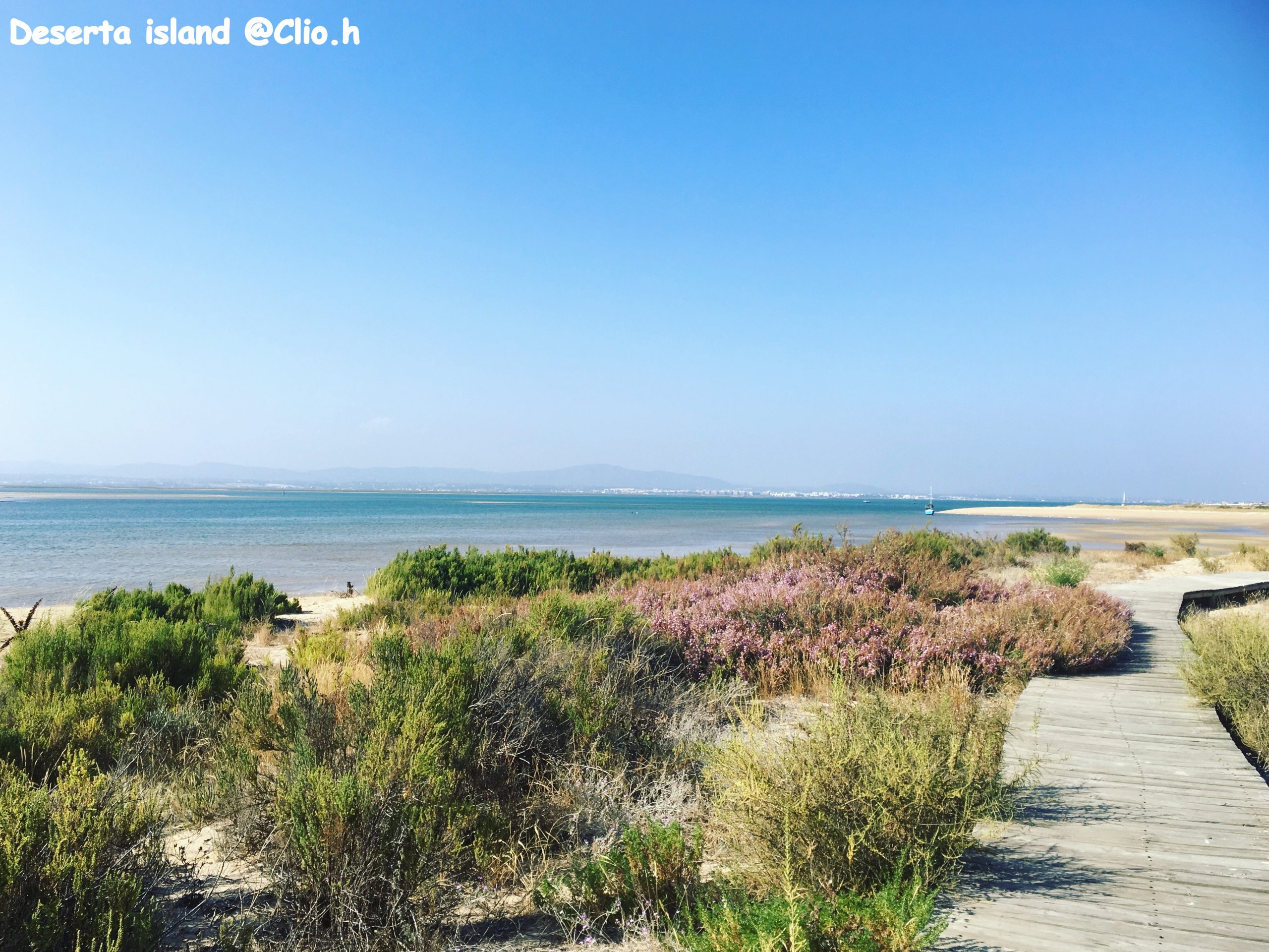 Îles du sud du Portugal accessibles depuis Olhao et Faro