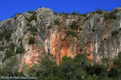 Guía de Loule para un viaje increíble en 2021