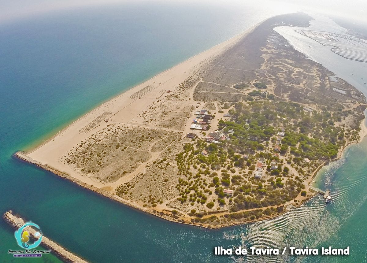 1 Hour Ria Formosa Boat Tour in Cabanas de Tavira