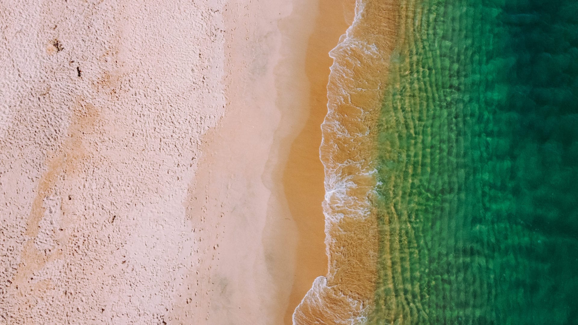 Îles de Ria Formosa accessibles depuis Fuseta