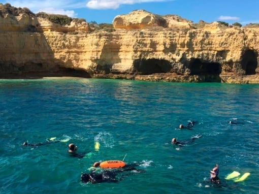 Snorkeling from Albufeira
