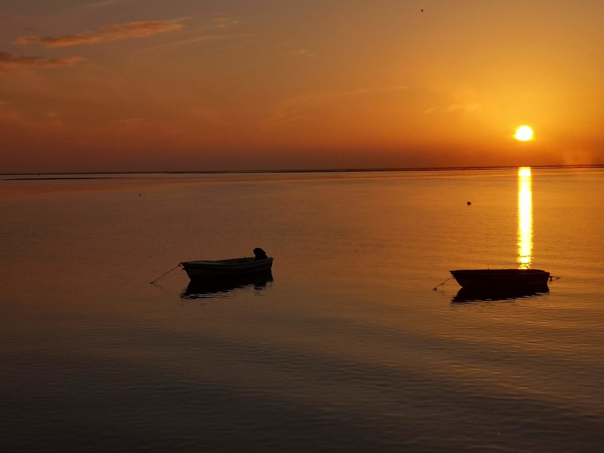 Bootstour bei Sonnenuntergang von Olhao in Ria Formosa
