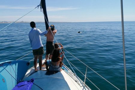 Excursión privada en velero por la costa de Vilamoura hasta Albufeira